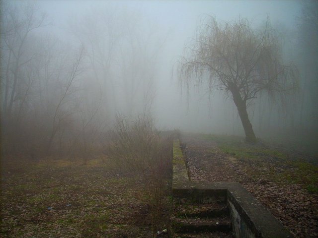 aC.jpg, 117 KB